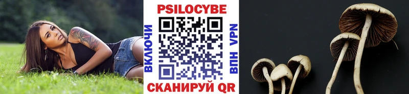 Галлюциногенные грибы Psilocybe  Апатиты 